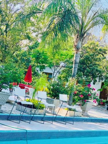 a group of chairs and umbrellas next to a pool at La Casita Inn Bustamante in Bustamante