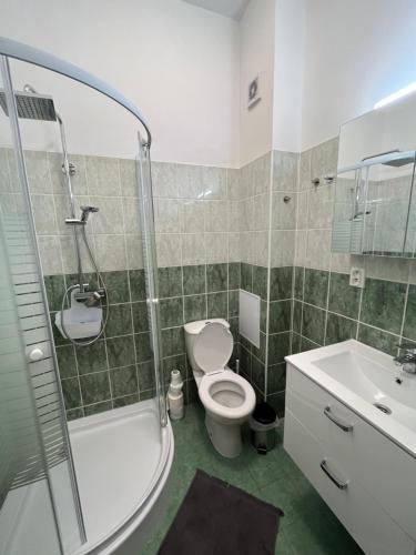 a bathroom with a toilet and a shower and a sink at Apartmán Jasmína v Jeseníkách in Karlovice