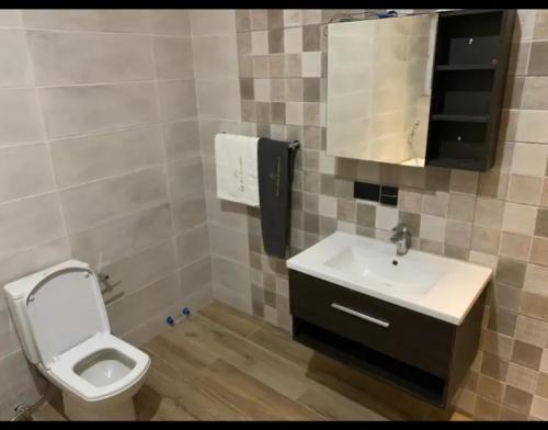 uma casa de banho com um WC e um lavatório em AlanVal Suites em Acra