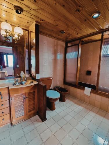 a bathroom with a toilet and a sink and a mirror at FLOR AUSTRAL in Ushuaia