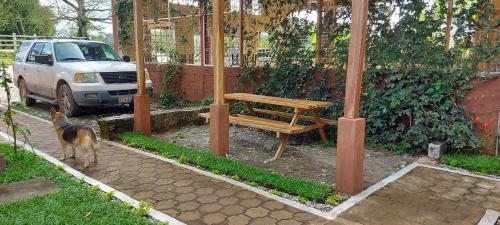 a dog standing in front of a wooden bench at ECO HOTEL LACHUA in Cobán