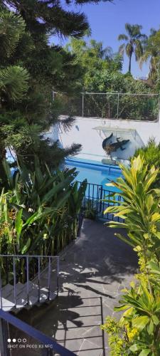 a view of a swimming pool with trees and plants at Casa Armony in Cuernavaca