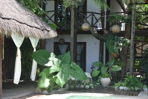 a courtyard with a house with a tree and plants at Cabañas Laguna in Isla Aguada