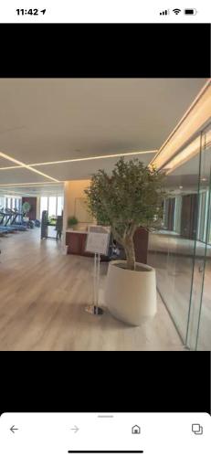 a tree in a large room with a large room with a building at luxury sea view Address Hotel apartment Fujairah in Fujairah