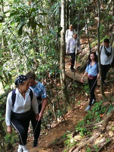 a group of people walking on a trail in the woods at Sinharaja Vini Villa in Deniyaya