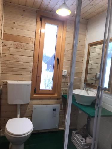 łazienka z toaletą i umywalką w obiekcie La noi la Munte w mieście Mătişeşti