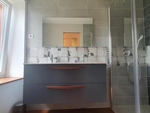 La salle de bains est pourvue d'un lavabo et d'une douche. dans l'établissement Gîte Le Puy-en-Velay, 3 pièces, 4 personnes - FR-1-582-331, au Puy-en-Velay