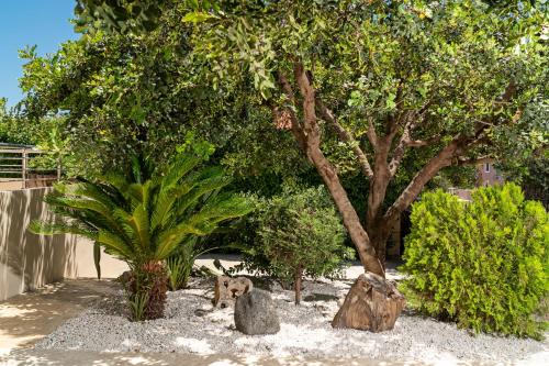 a dog sitting under a tree in a garden at Villa Ellovos with Private Pool in Rethymno Town