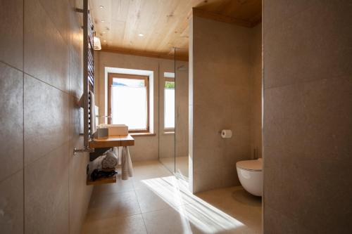 a bathroom with a toilet and a glass shower at Al Capriolo in Vodo Cadore