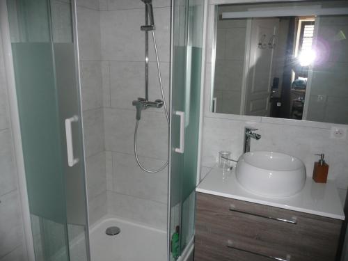 a bathroom with a shower and a sink and a mirror at LA DEMEURE DE CONSTANCE in Pechpialat