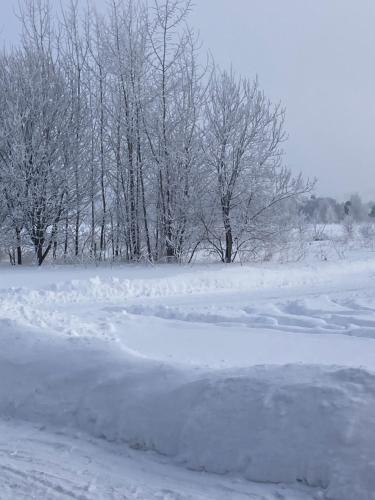 a snow covered field with trees in the background at Ciche Pole in Maniowy