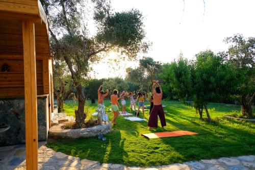 a group of people doing yoga in the grass at Bir Dem Urla in Urla