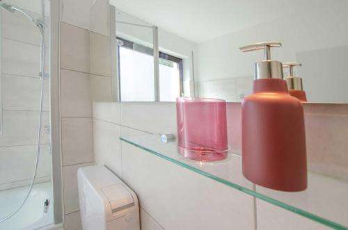 een badkamer met een rode zeepdispenser op een glazen plank bij Ferienwohnung Clara in Bad Sachsa