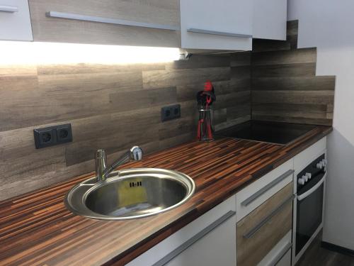 A kitchen or kitchenette at Apartment Franzi