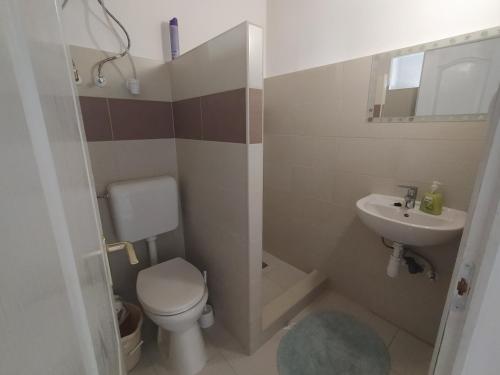 een badkamer met een toilet en een wastafel bij Heni Vendégháza in Vadna