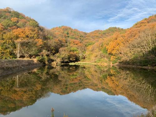 un fiume nel mezzo di una foresta con fogliame autunnale di Ensoh a Okayama