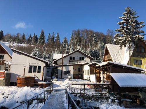 un villaggio ricoperto di neve con un passaggio in legno di Podul De Brazi - Fir Bridge a Cîrţişoara