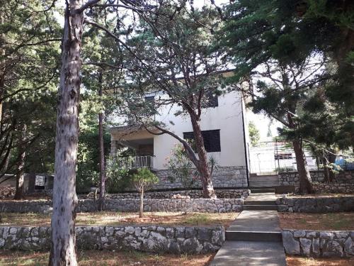 Zahrada ubytování Vila Darinka