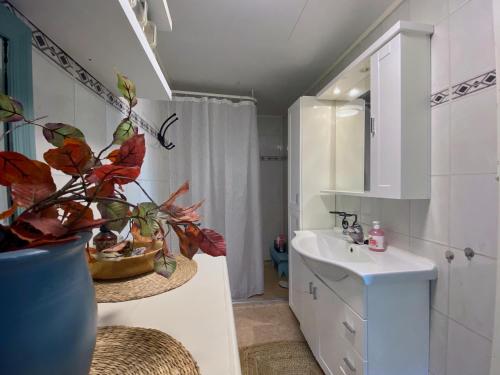 Η κουζίνα ή μικρή κουζίνα στο Orcas Bay Lofoten