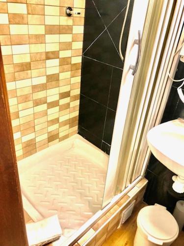 a bathroom with a shower with a toilet and a sink at Hotel Excelsior in Lisbon
