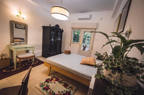 1 dormitorio con 1 cama y una maceta en Hillel 48 Charming Apartment, en Haifa