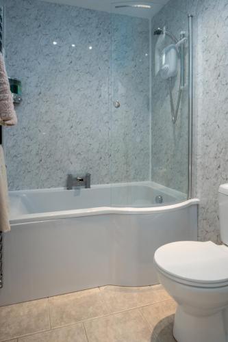 a bathroom with a white tub and a toilet at Estuary Lodge Motel B&B in Talsarnau