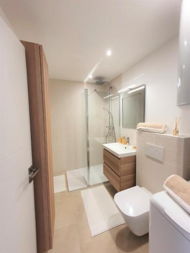 une salle de bain avec une douche, des toilettes et un lavabo dans l'établissement Hyper centre St Tropez Appartement, à Saint-Tropez