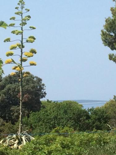 Φυσικό τοπίο κοντά σε αυτό το διαμέρισμα