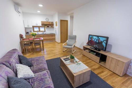 ein Wohnzimmer mit Couch und Fernseher in der Unterkunft AS apartman 1 in Vršac