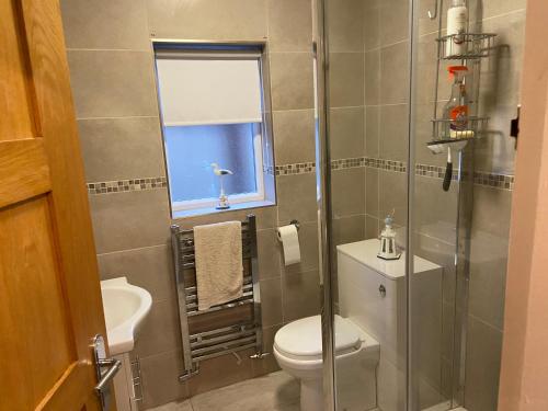 a bathroom with a toilet and a sink and a window at Palmbeach Place in Kent