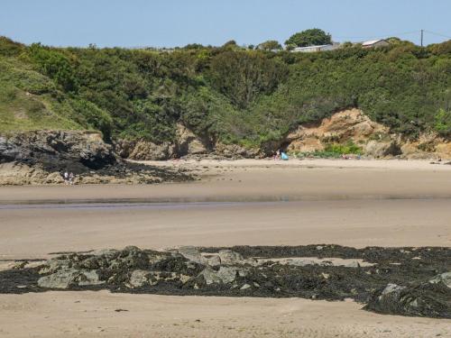 a beach with a bunch of seaweed on the sand at Y Bwthyn in Amlwch