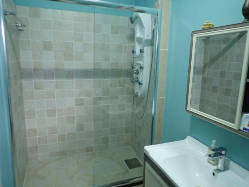 a bathroom with a shower and a sink at Urban Oasis Apartment in Castries