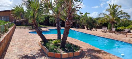 einen Pool mit Palmen in einem Resort in der Unterkunft Bay View Lodge in Miramar