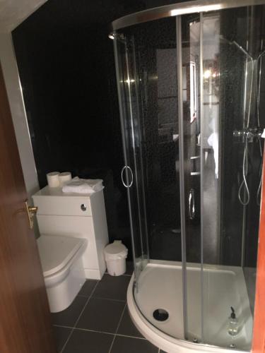 a bathroom with a toilet and a glass shower at Boathouse Hotel in Holyhead