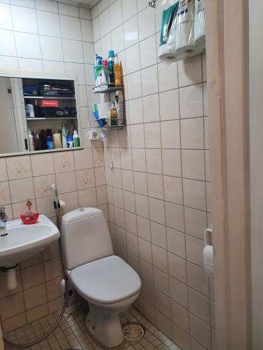 a small bathroom with a toilet and a sink at Mukava talo maaseudulla lähellä keskustaa in Pori