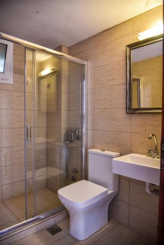 a bathroom with a shower and a toilet and a sink at Iraklis Apartments in Stalida
