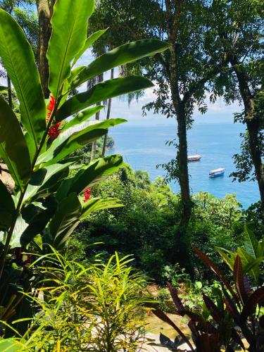 a view of the ocean from a forest with a boat in the water at Pousada Lagamar in Praia Vermelha