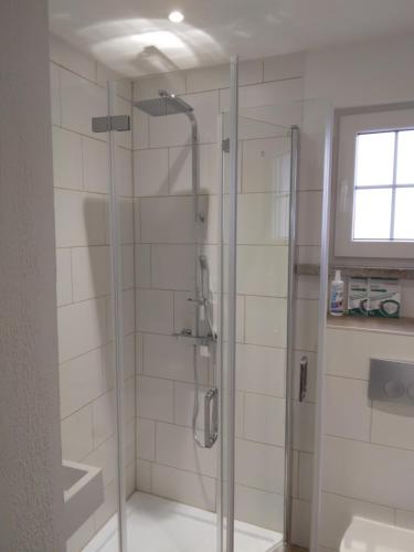 La salle de bains est pourvue d'une douche avec une porte en verre. dans l'établissement Studio Edeltraud zentral, à Wernigerode