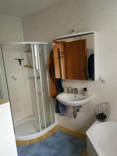 a bathroom with a sink and a shower and a sink at Ferienhaus Triebesgrund in Zeulenroda