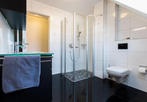 诺德奈Ferienwohnung Gertrud Wohnung 4的带淋浴和卫生间的浴室