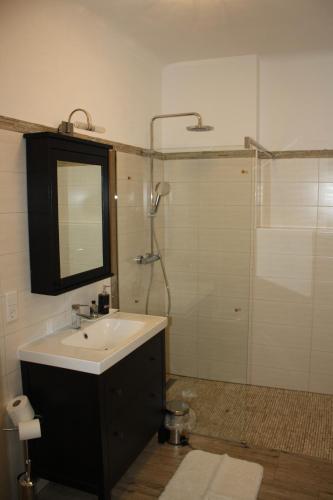 a bathroom with a sink and a shower with a mirror at Bioweingut Schmidl Rosenstöckel in Dürnstein