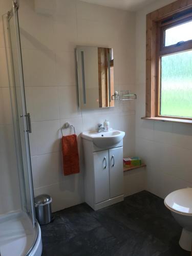 W białej łazience znajduje się umywalka i lustro. w obiekcie Pine Chalet w mieście Muir of Ord
