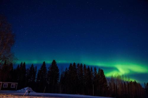 an aurora in the sky with trees and a house at Lappland Pro Natur in Åsele