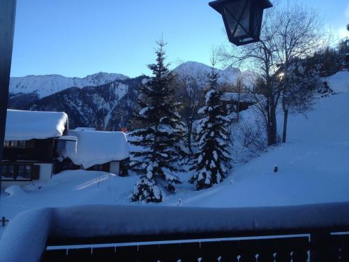 a snow covered yard with trees and a street light at LA TZOUMAZ - VERBIER 4 Vallées - Grand Chalet 5 chambres, Ski IN/OUT, Sauna in La Tzoumaz