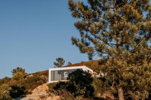 a house on top of a hill with a tree at Eco-lodge Villa Epicurea in Sesimbra