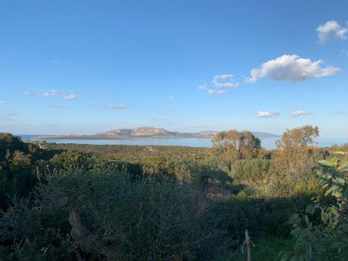 a view of a body of water from a field at Cuile Nanni D'Oro in Stintino