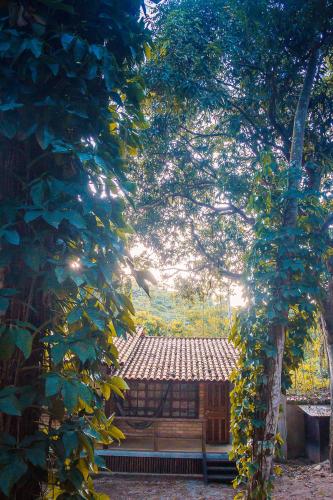 a building is seen through the leaves of trees at Chalé 03 Itaipu Vale da Colina Niterói in Niterói