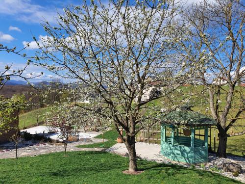 a tree in a yard with a gazebo at B&B Villa Angelina in Rogaška Slatina