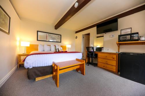 Schlafzimmer mit einem Bett und einem Schreibtisch mit einem TV in der Unterkunft Lakeview Motel in Haliburton