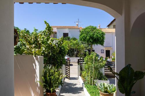 an archway leading to a garden with plants at Familia Brito in Porches